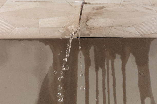 Professional Water Damage Restoration technician working in Monroe, IA